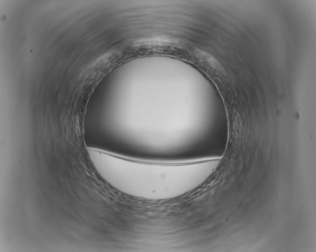 X0000067001062200603241040