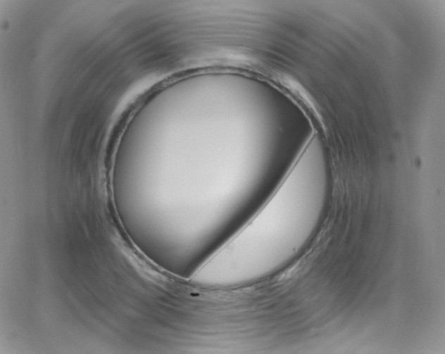 X0000067001072200603241039