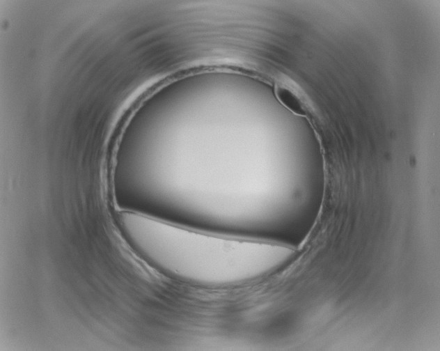 X0000067001076200603241039