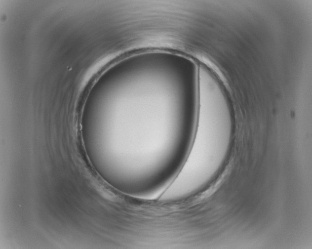 X0000067001077200603241039