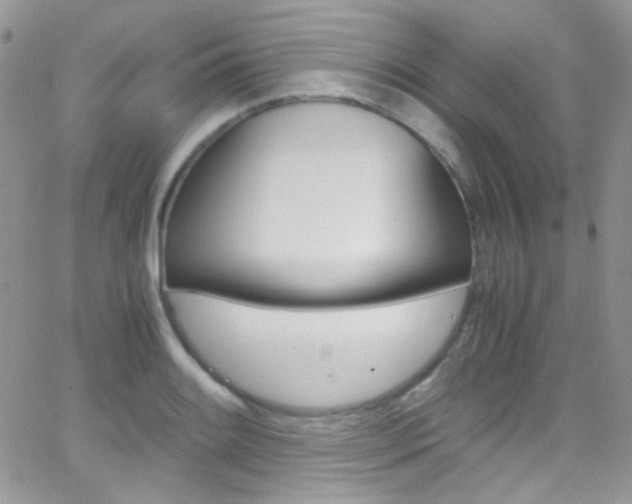 X0000067001084200603241039