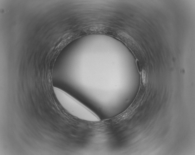 X0000067001107200603241038