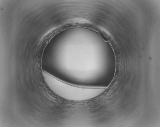 X0000067001112200603241038