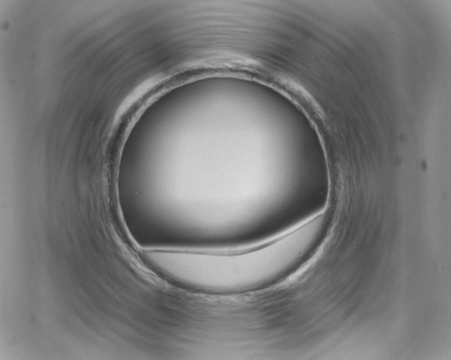 X0000067001114200603241038