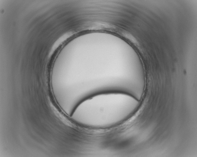 X0000067001122200603241038