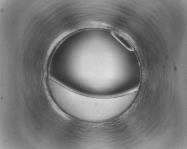 X0000067001136200603241039