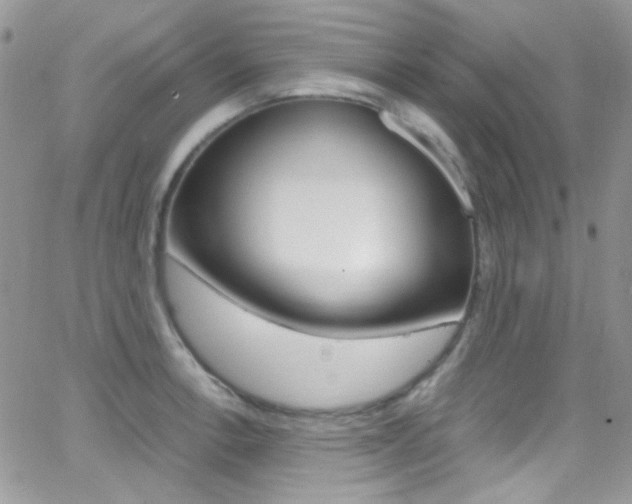 X0000067001138200603241039