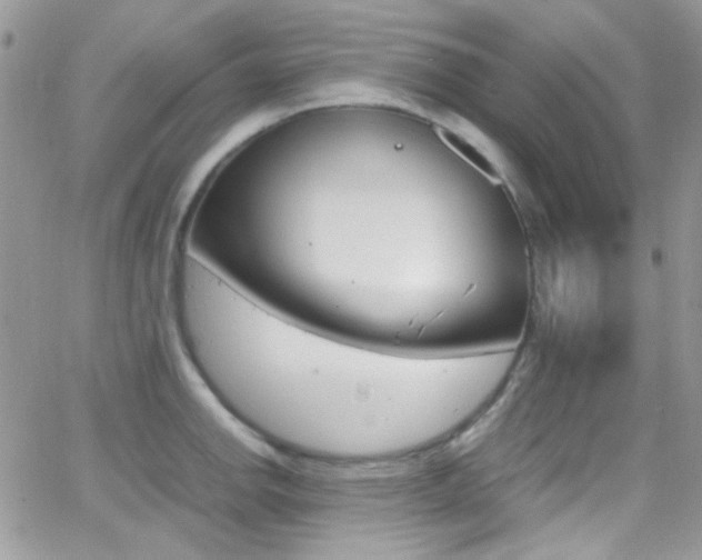 X0000067001142200603241039