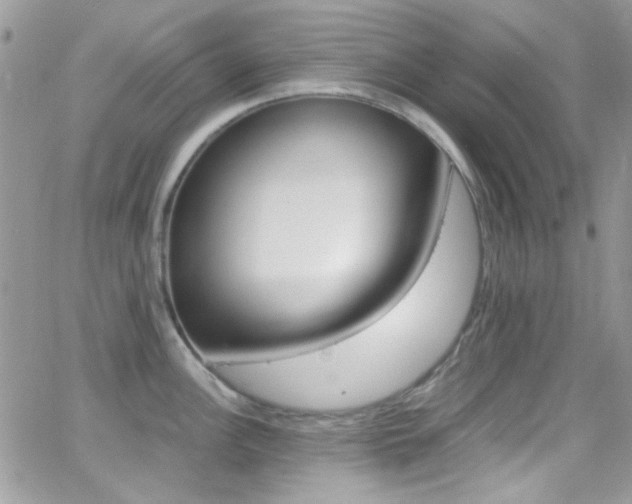 X0000067001148200603241039