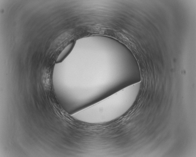 X0000067001154200603241038