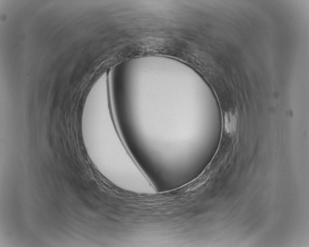 X0000067001155200603241038