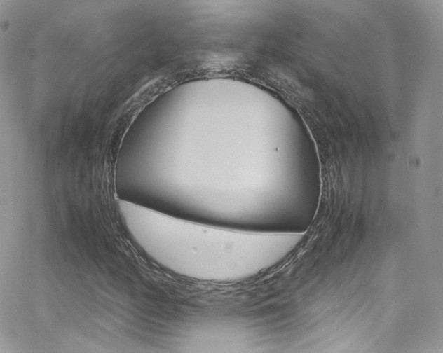 X0000067001158200603241038