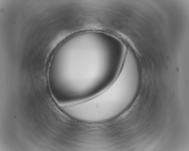 X0000067001168200603241038
