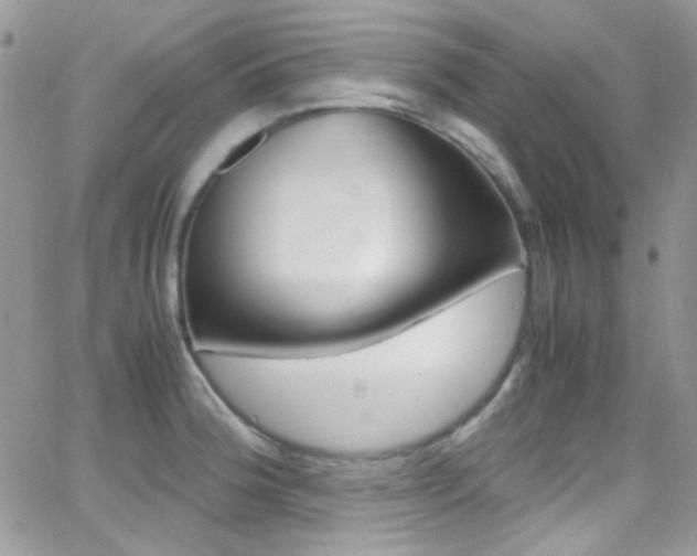 X0000067001188200603241037