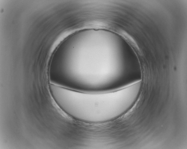 X0000067001192200603241037