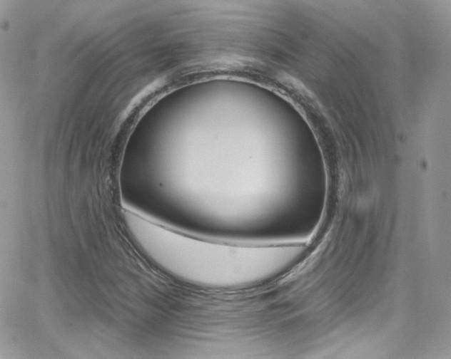 X0000067001210200603241037