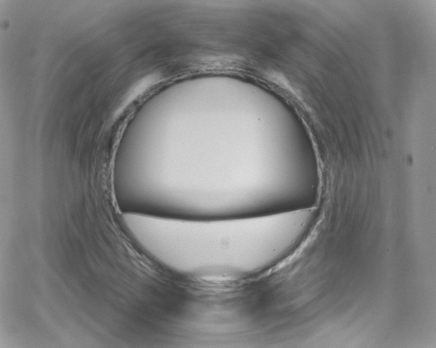 X0000067001211200603241037