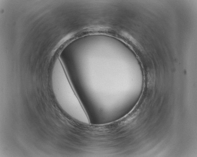 X0000067001213200603241037