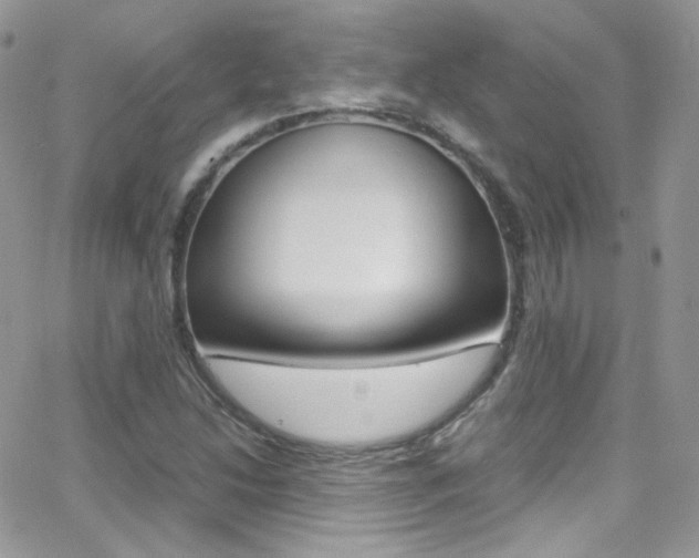 X0000067001214200603241037
