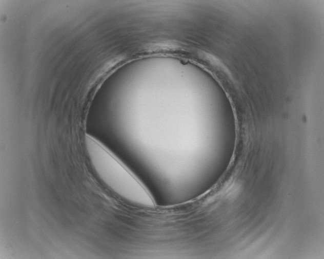 X0000067001217200603241037