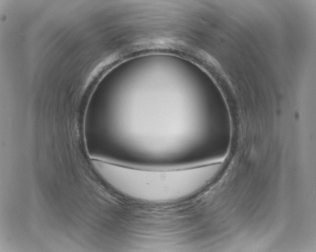X0000067001218200603241037