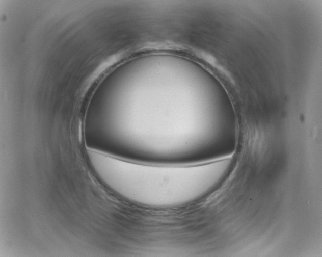 X0000067001221200603241037