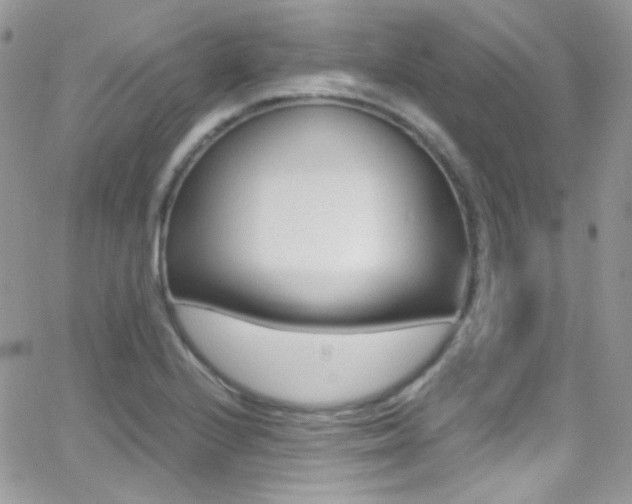 X0000067001224200603241037