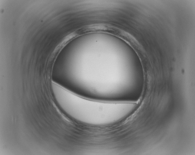 X0000067001225200603241037