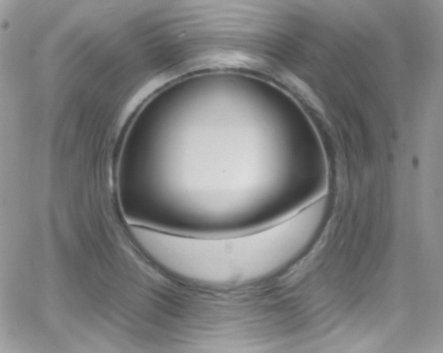 X0000067001226200603241037