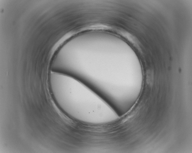 X0000067001229200603241037