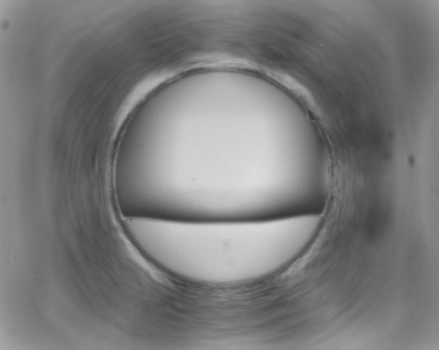 X0000067001231200603241037