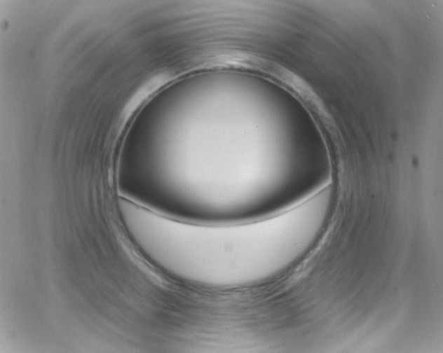 X0000067001234200603241037
