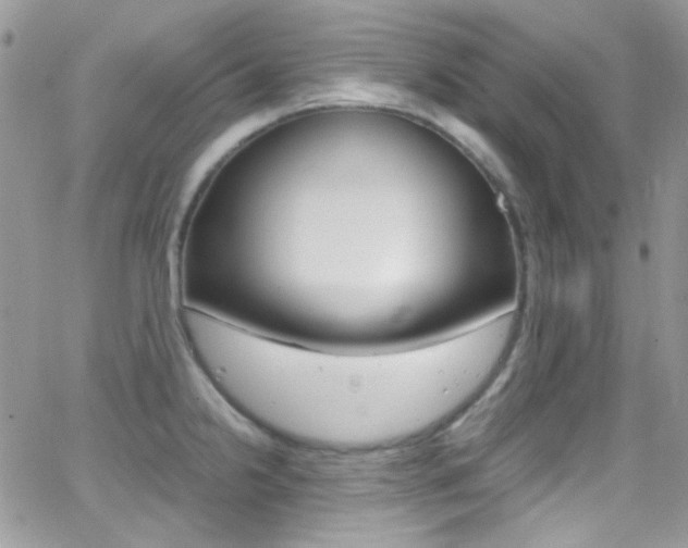 X0000067001238200603241037