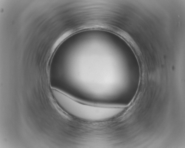 X0000067001242200603241037