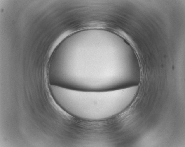 X0000067001243200603241037
