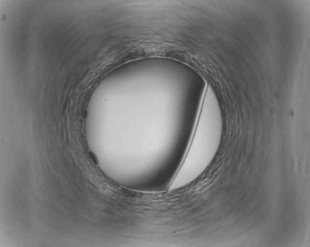 X0000067001249200603241037