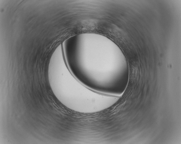 X0000067001250200603241036