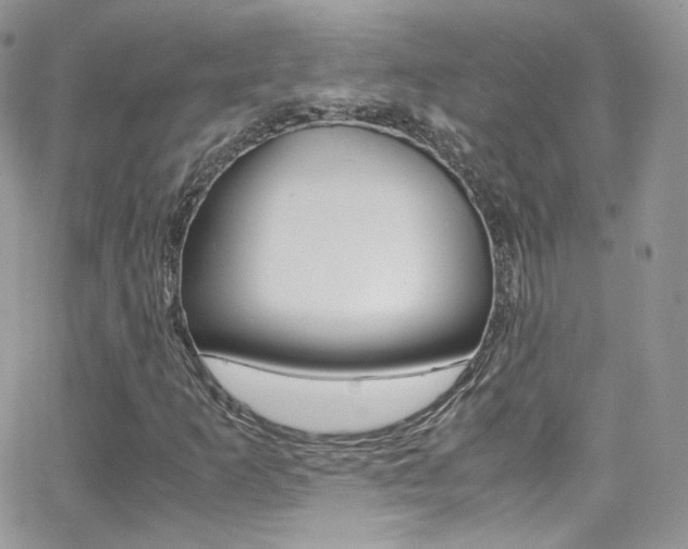 X0000067001253200603241036