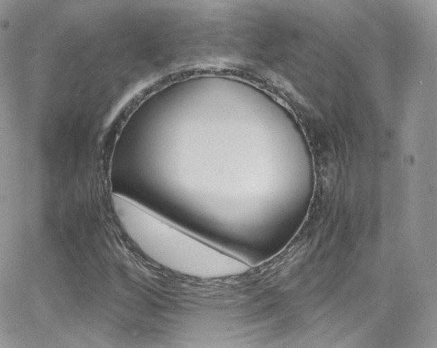 X0000067001256200603241036