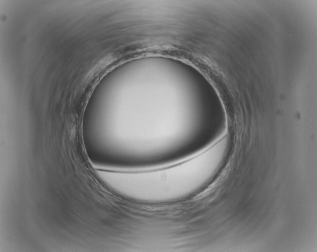 X0000067001257200603241036
