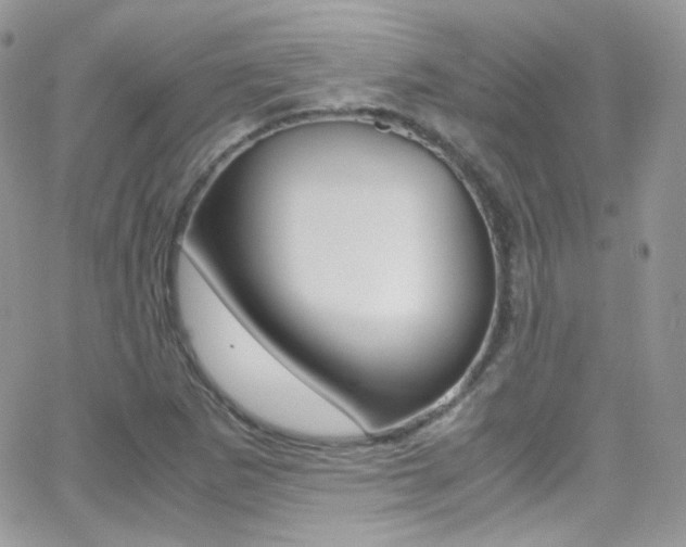 X0000067001265200603241036