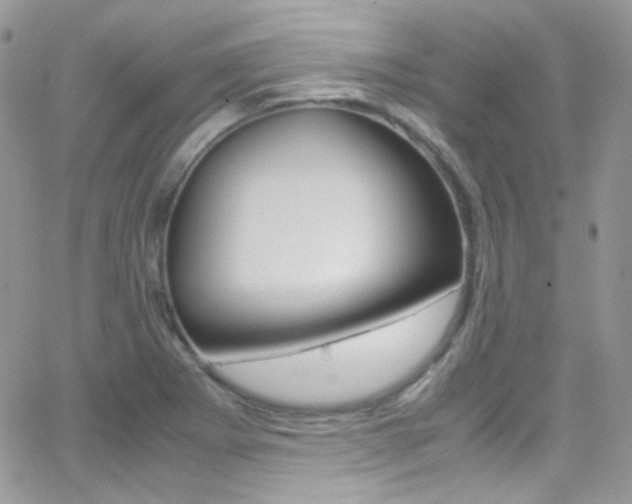 X0000067001273200603241036