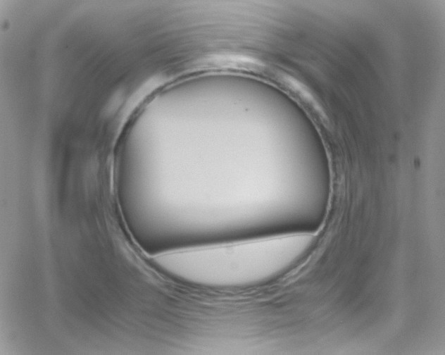X0000067001275200603241036