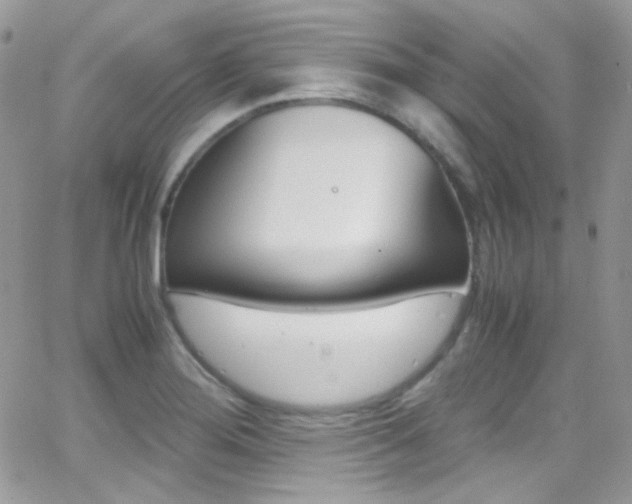 X0000067001276200603241036