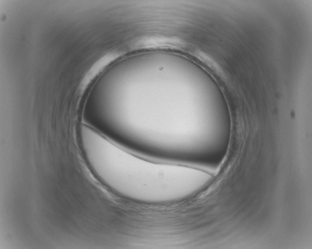 X0000067001277200603241036
