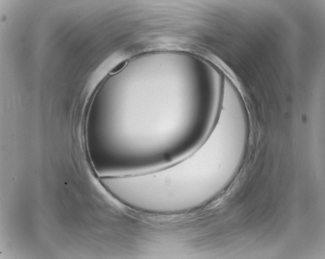 X0000067001293200603241036