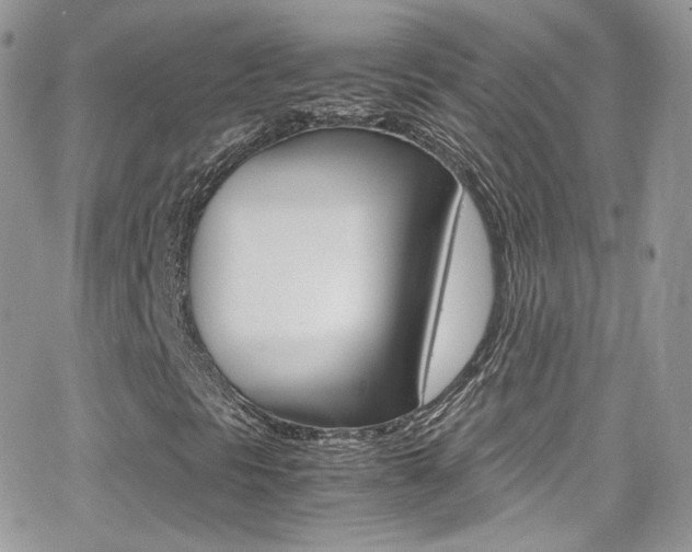 X0000067001297200603241035