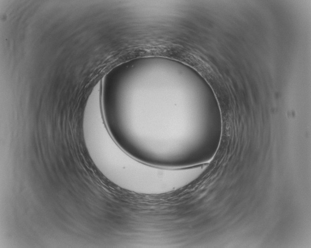 X0000067001298200603241035
