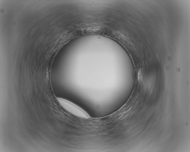X0000067001299200603241035