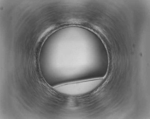 X0000067001307200603241035